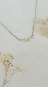 שרשרת נוֹנוֹ