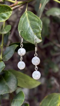 ⁦עגילי אלמוג⁩ – תמונה ⁦2⁩