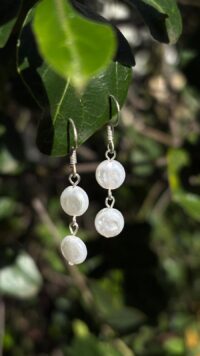 עגילי אלמוג